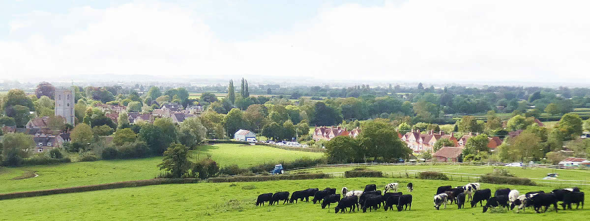 Views over Queen Camel