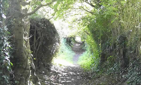 Dark Lane, Queen Camel